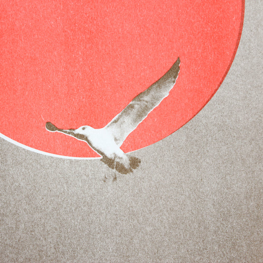 Möwe Fluo (offene Auflage) | Risographie Print