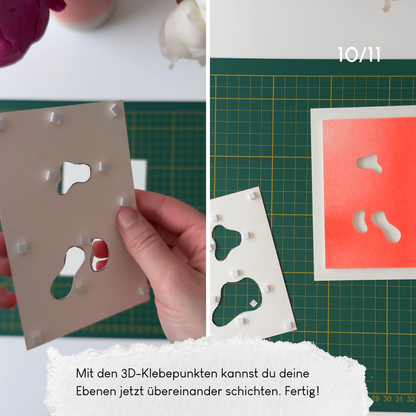 dear riso - woelfins snailmail Club