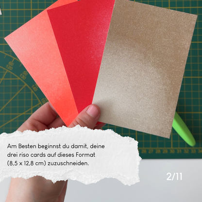 dear riso - woelfins snailmail Club