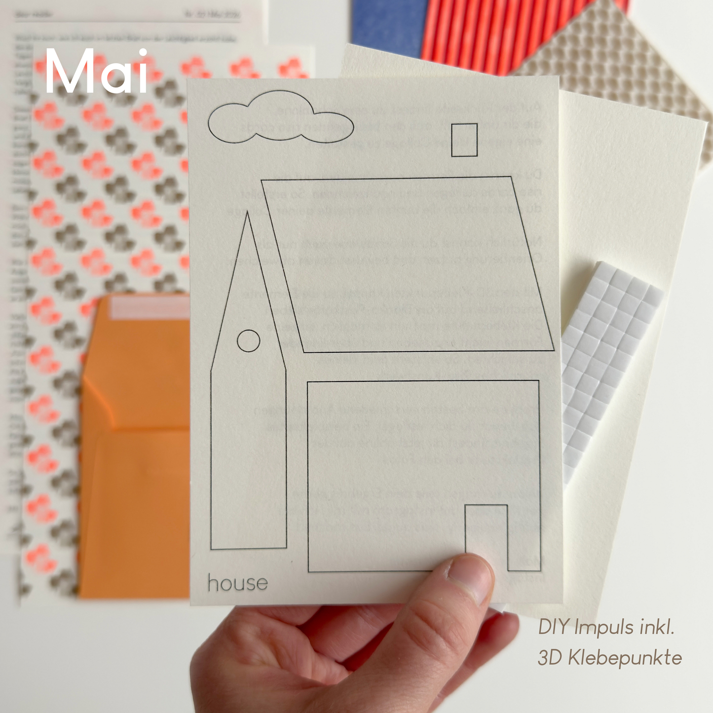 dear riso - woelfins snailmail Club