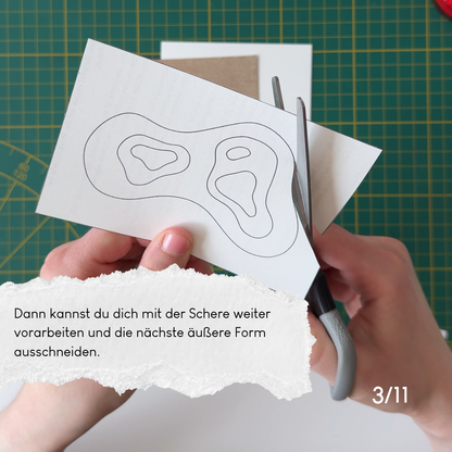 dear riso - woelfins snailmail Club