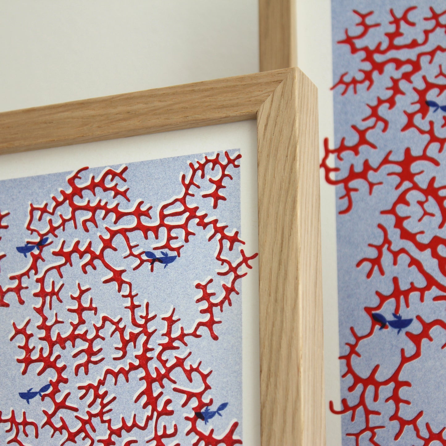 Coral Bright (offene Auflage) | Kunst Poster