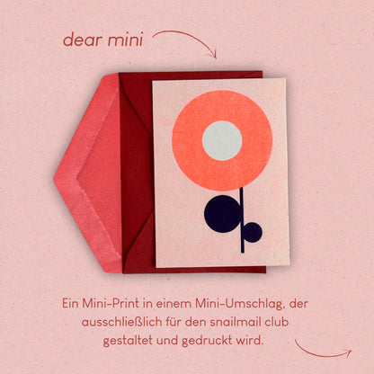 dear riso - woelfins snailmail Club