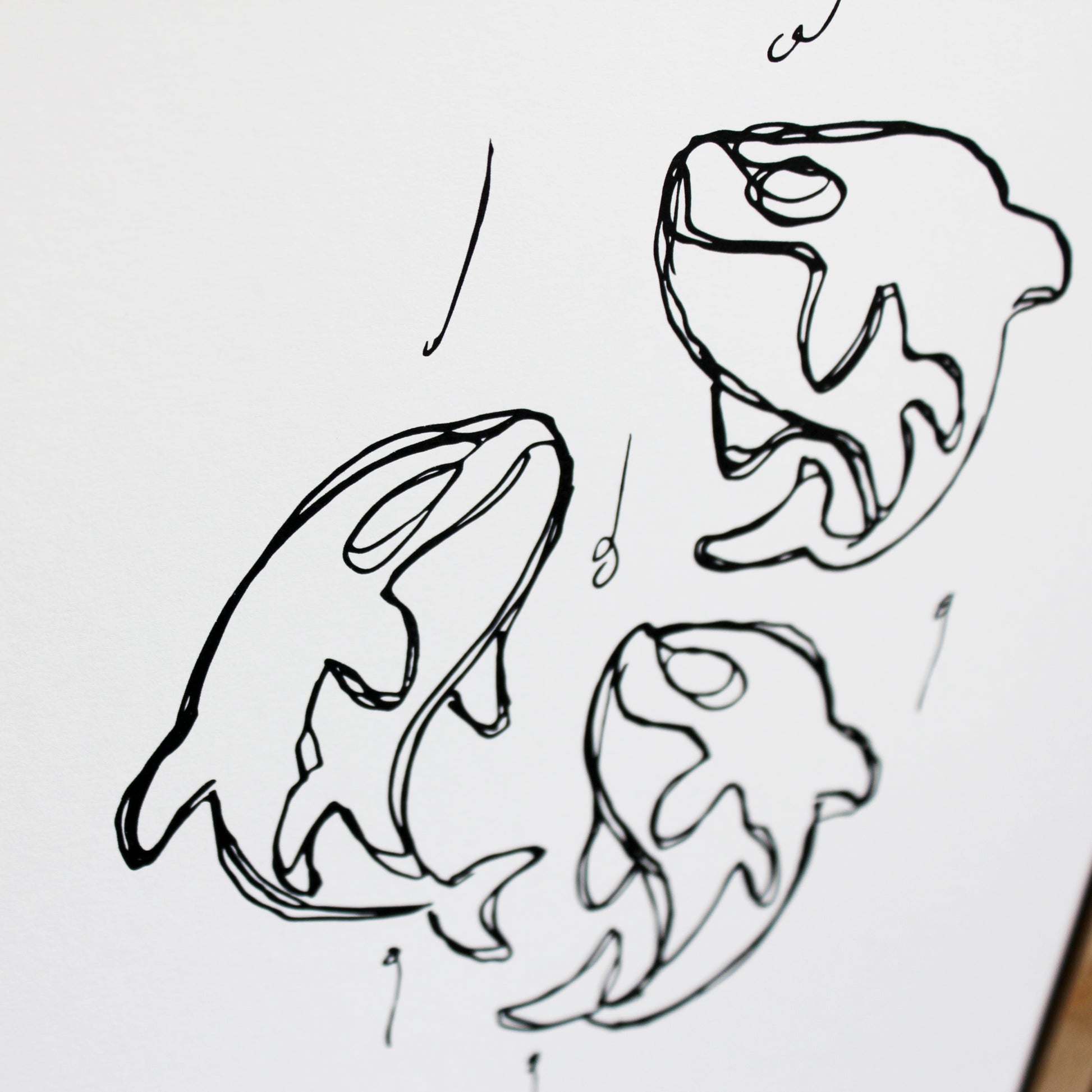 Das Kunst Poster "3 Häuptlinge" zeigt drei Orcas. 