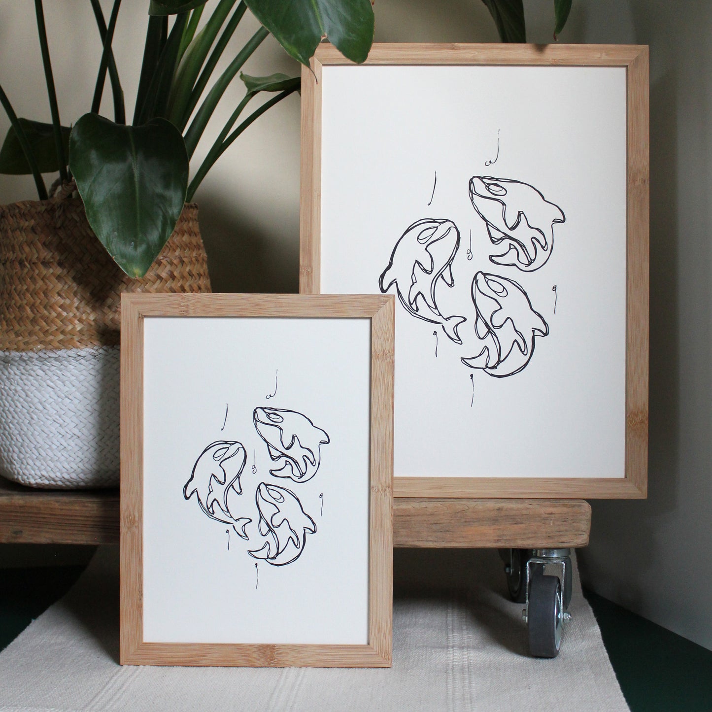Das Kunst Poster "3 Häuptlinge" zeigt drei Orcas. 